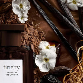 Fine'ry vanilla beans close-up emphasizing Madagascar vanilla richness