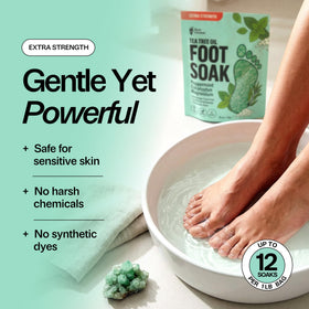 Arrangement of botanicals used in Foot Choice showing natural ingredients and refreshing aroma
