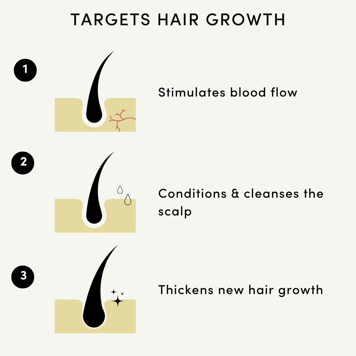 Forest & Shore dropper applying oil to scalp to boost circulation and support growth