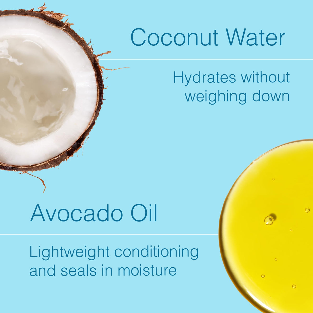 Function of Beauty coconut water close-up highlighting lightweight hydration benefits
