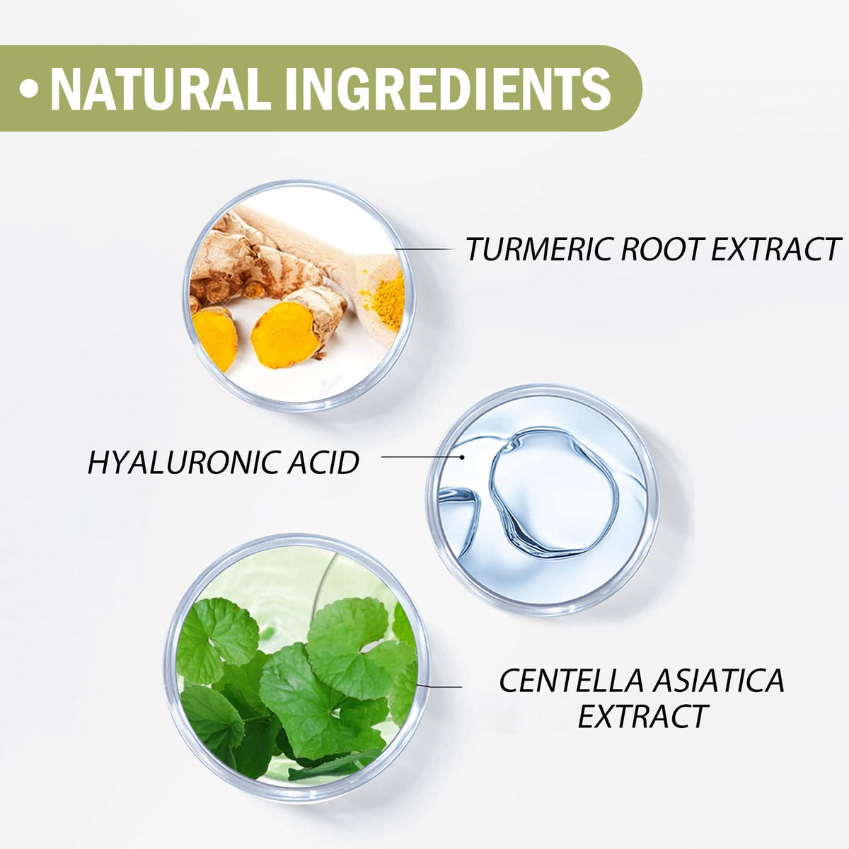 Gaayou mugwort and camelia ingredients shot highlighting soothing benefit