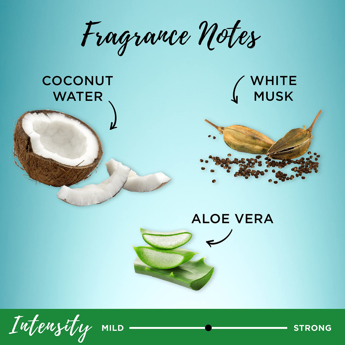 Aloe vera leaf extract image with Garnier brand, communicates soothing and smoothing benefit
