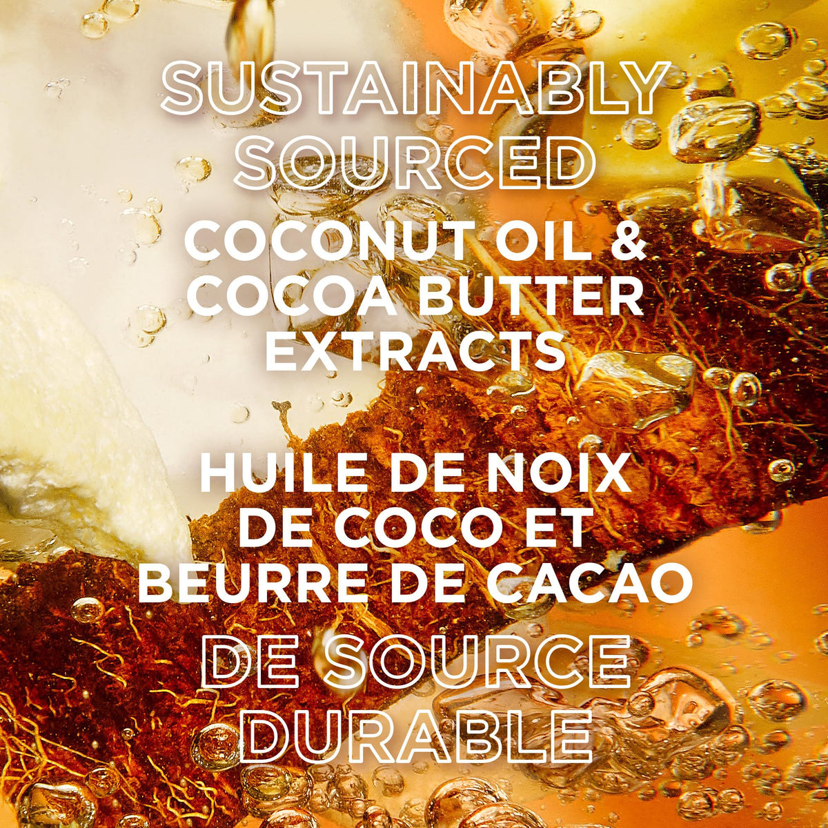 Garnier Whole Blends bottle beside coconut and cocoa illustrating natural extracts