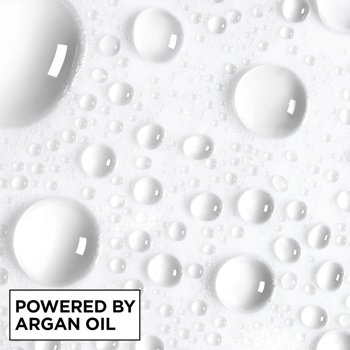 Garnier Fructis with argan oil visual illustrating moisturizing and shine boost