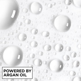 Garnier Fructis with argan oil visual illustrating moisturizing and shine boost