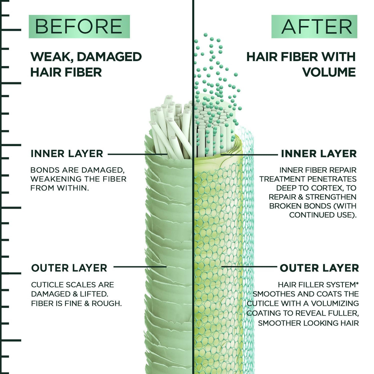 Garnier Fructis polypeptides ingredient visual implying strengthened hair fibers