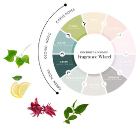 Gilchrist & Soames back label with ingredients and usage guidance for clarity