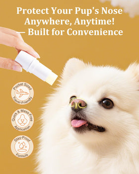 GJYC PET being applied to a dog nose demonstrating easy use