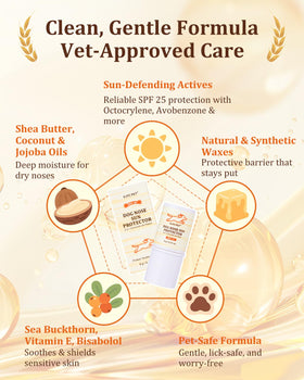 GJYC PET UV reminder patch turning purple for timely reapplication