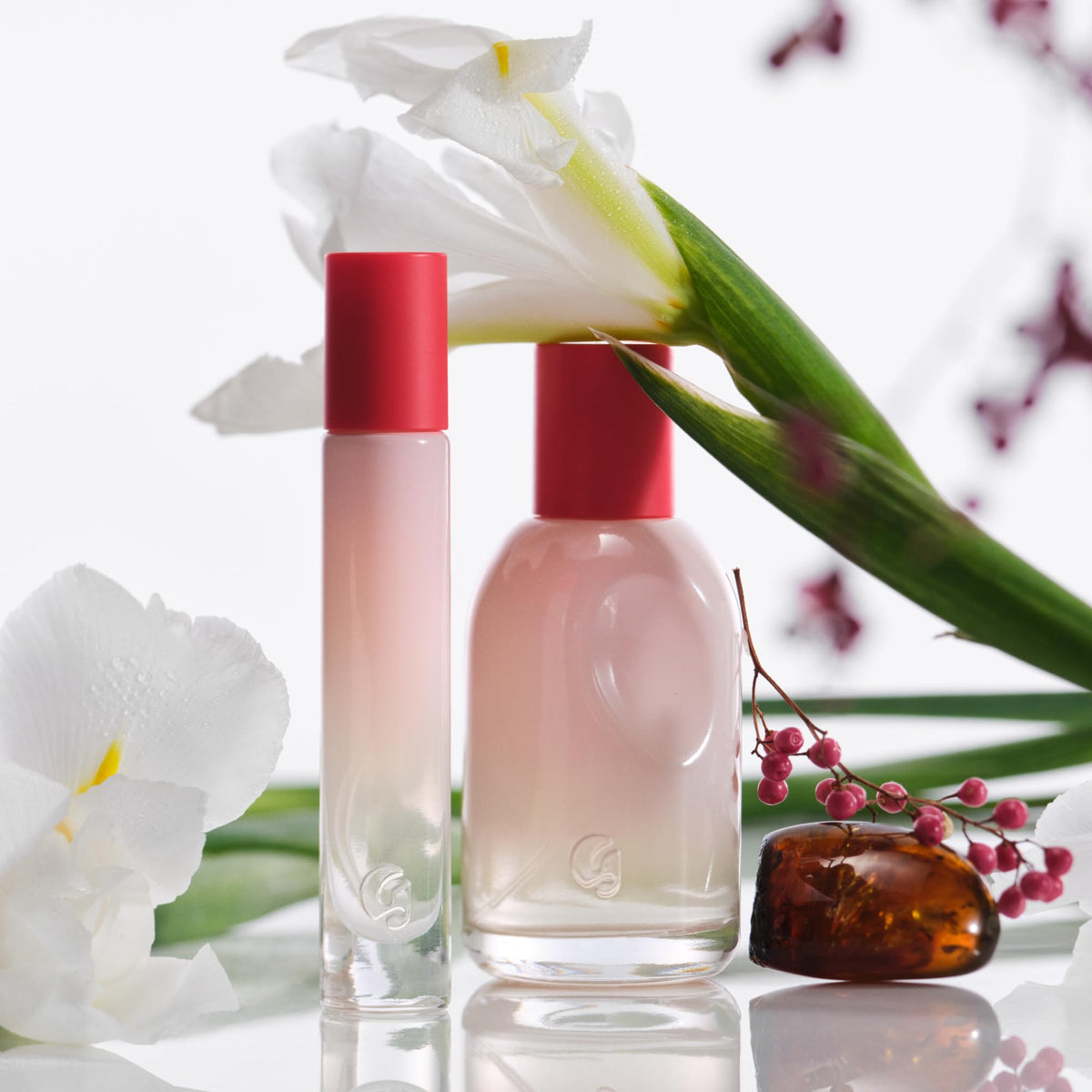 Glossier box and label closeup revealing packaging and gifting appeal