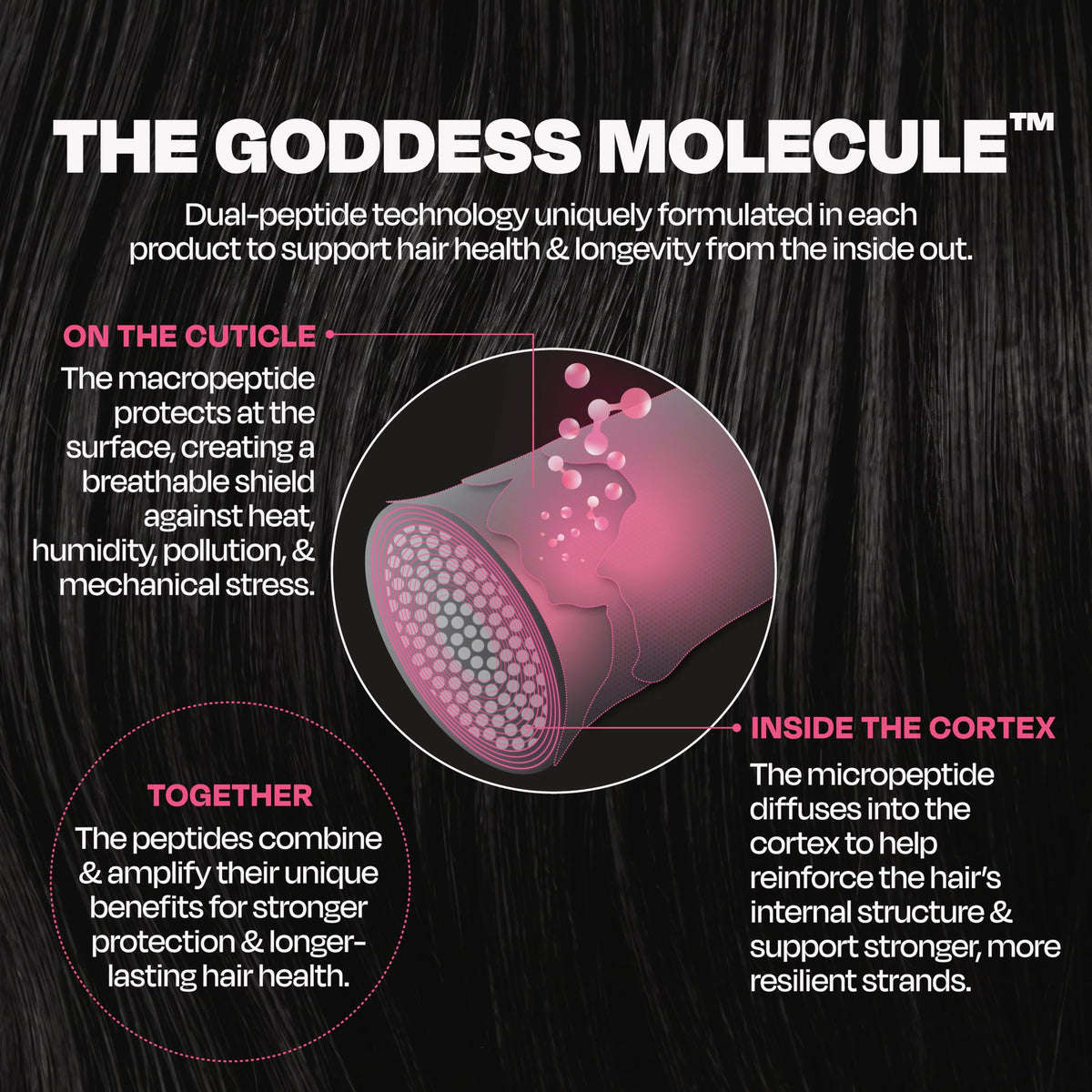 Goddess Maintenance applied to damp hair to protect before blowout