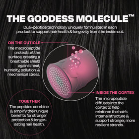 Goddess Maintenance applied to damp hair to protect before blowout