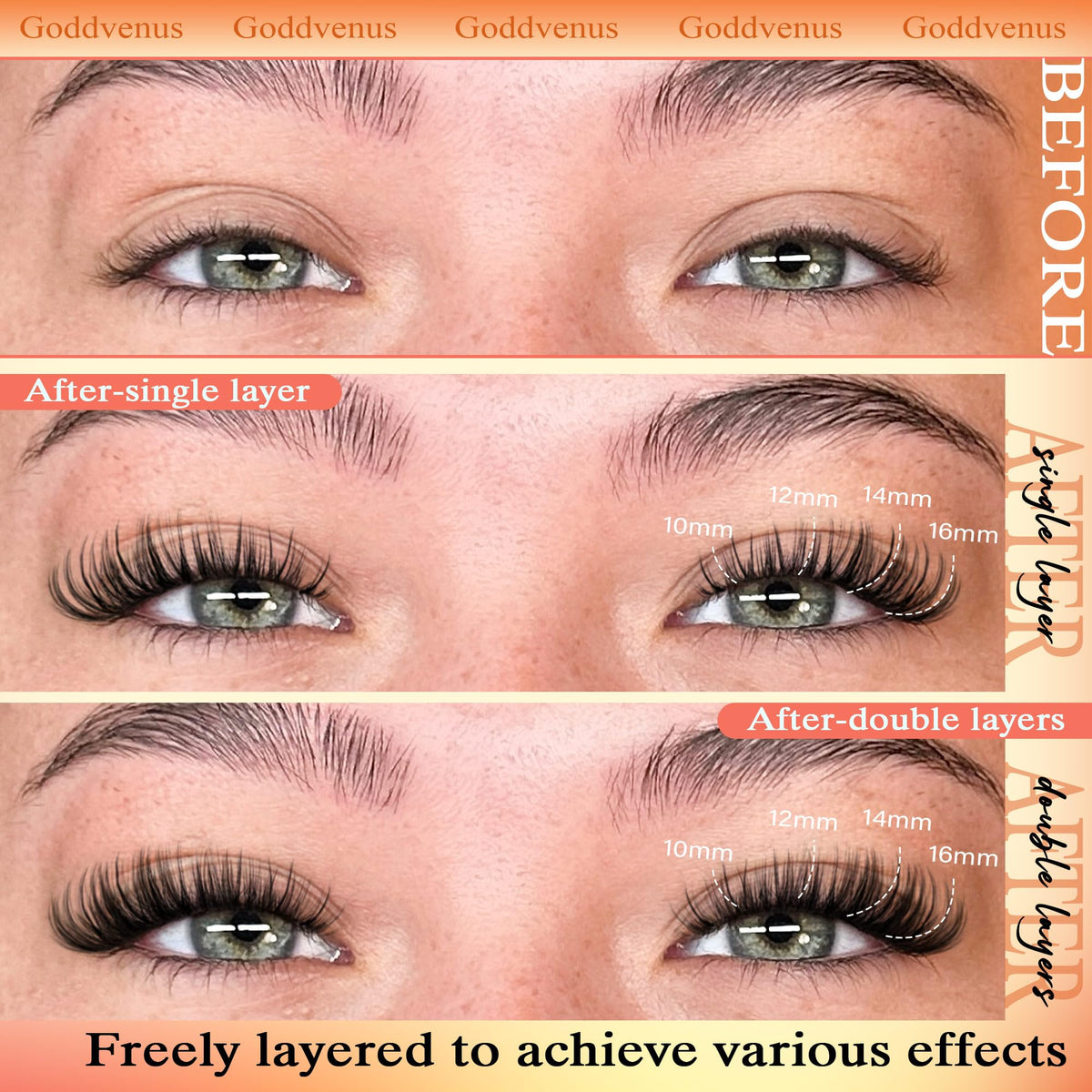 Goddvenus cluster lash being applied demonstrating easy DIY use
