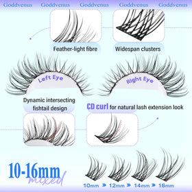 Goddvenus D curl profile close view for consistent lift and open-eye effect