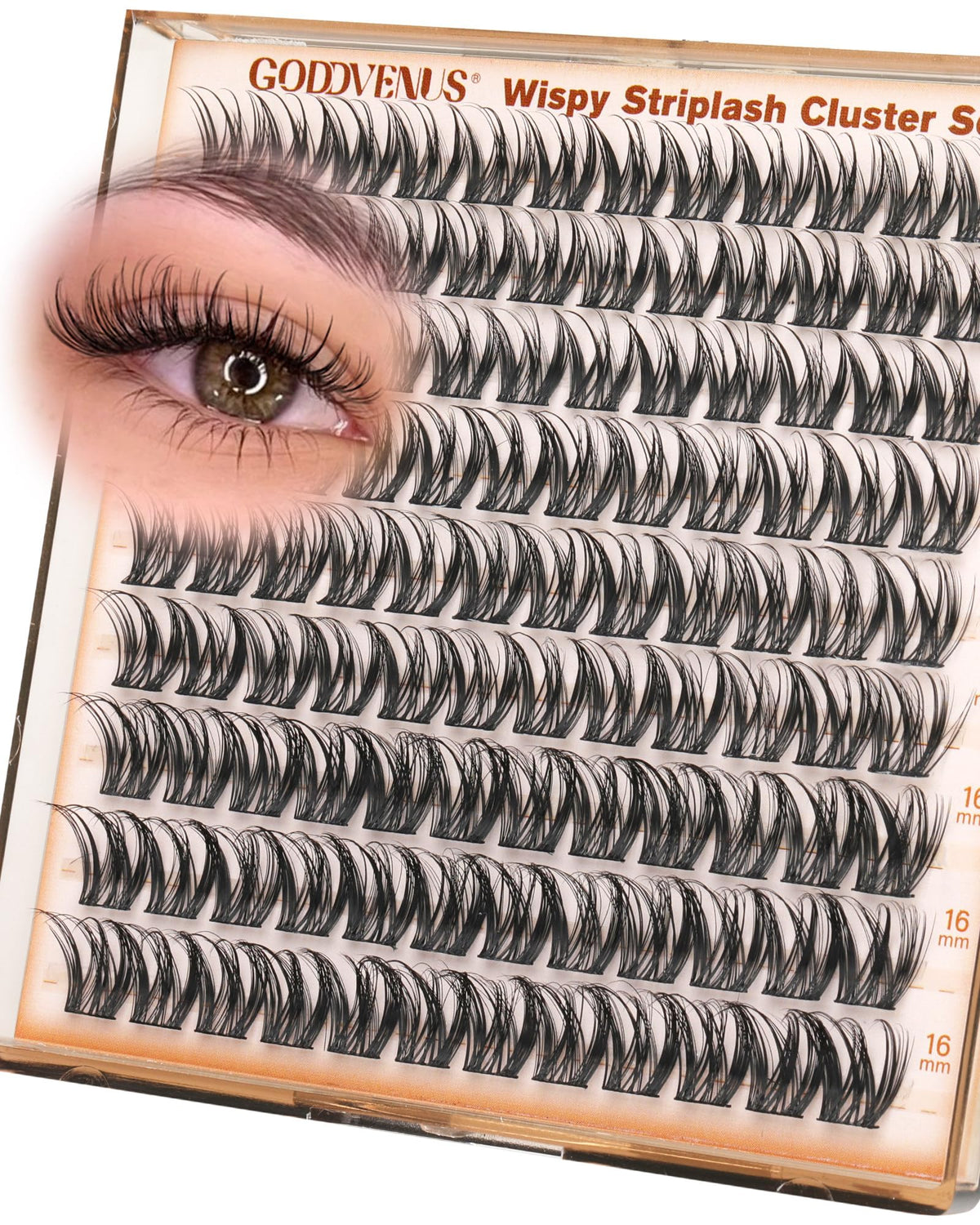 Goddvenus front packaging showing cluster lash set and benefits
