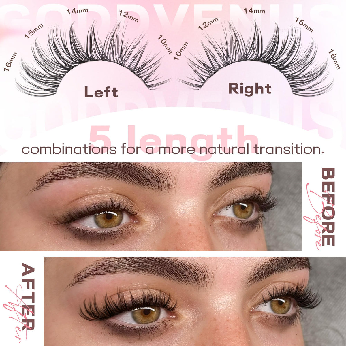 Goddvenus clusters applied on eye showing lifted C-curl for natural flutter