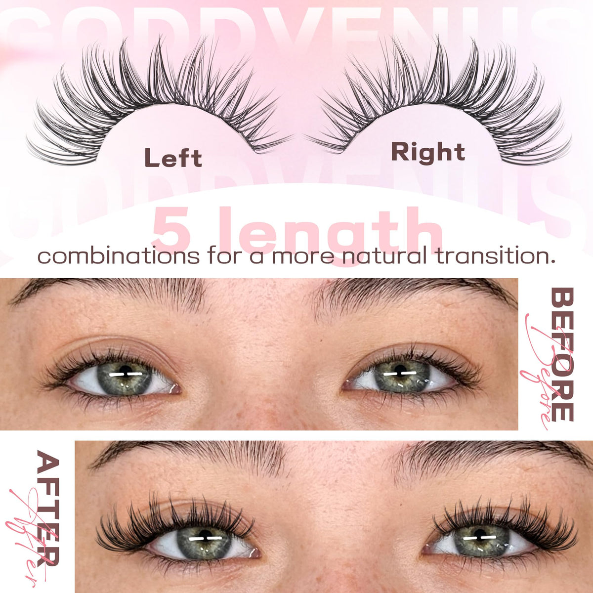 Goddvenus display of mixed 10–16mm lengths for customizable lash looks