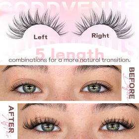 Goddvenus display of mixed 10–16mm lengths for customizable lash looks