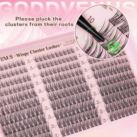 goddvenus storage tray with clusters organized for hygiene and long-lasting shape