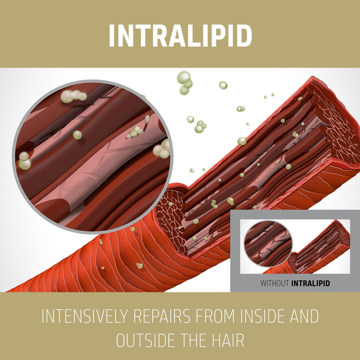 Goldwell conditioned hair texture close-up showing smoother shine benefit