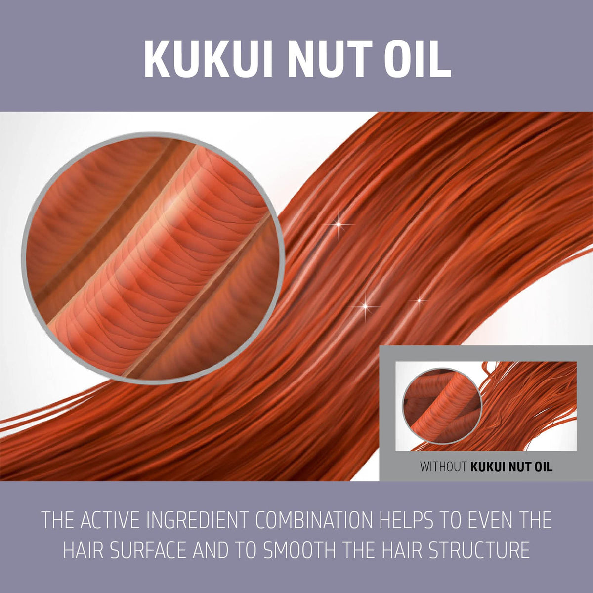 Goldwell kukui nut oil close-up highlighting nourishing ingredient benefit