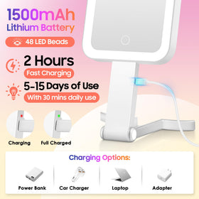 GOMIPURU tabletop angled stand, hands-free steady grooming