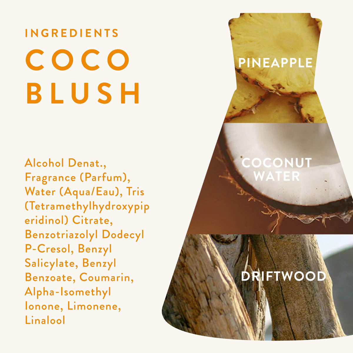 Coconut and pineapple ingredients staged with Good Chemistry bottle to convey tropical notes