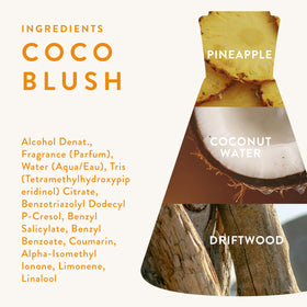 Coconut and pineapple ingredients staged with Good Chemistry bottle to convey tropical notes