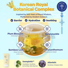 GOONGBE Centella leaves ingredient focus showing calming plant benefit