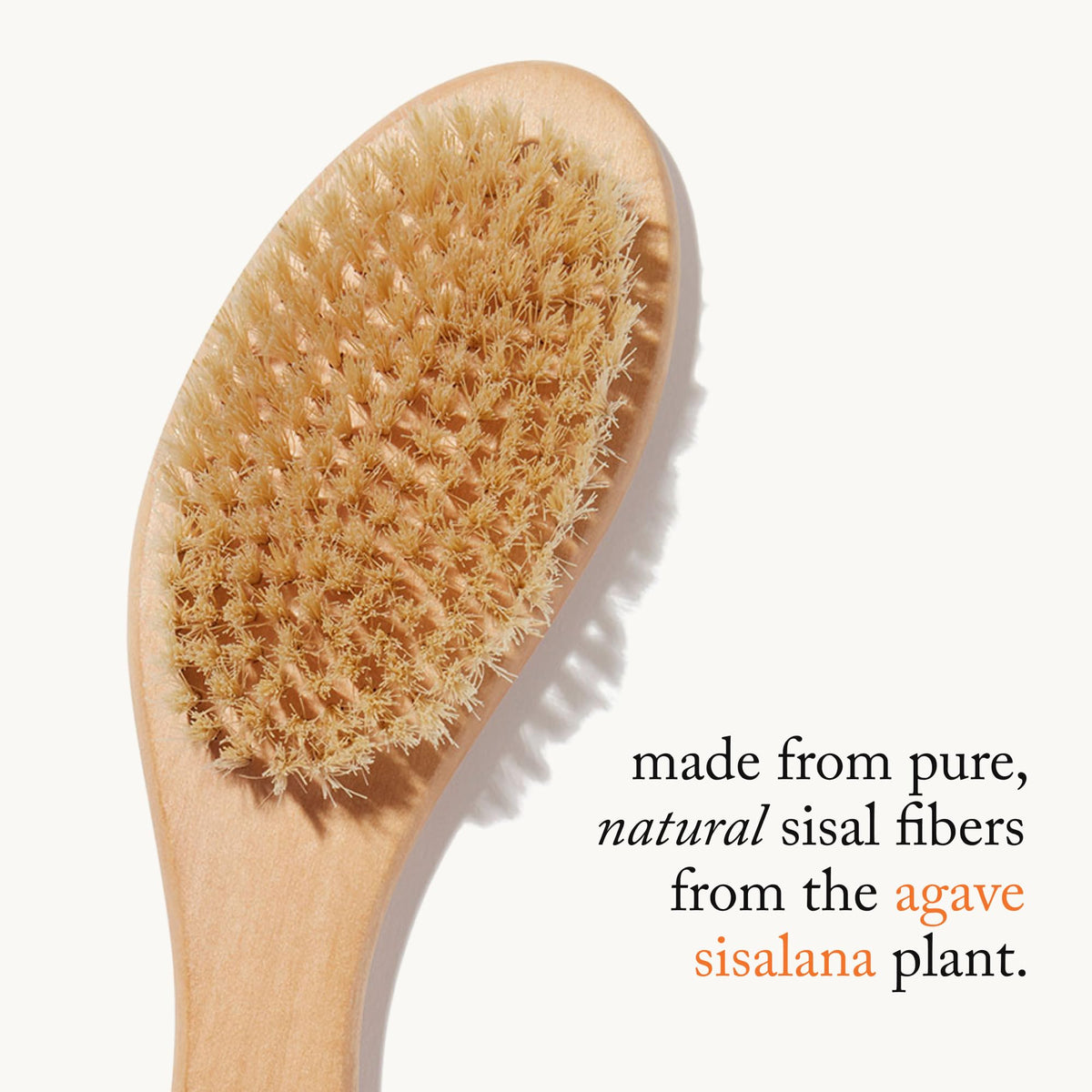 goop dry brush sisal bristles closeup showing natural fibers for effective exfoliation
