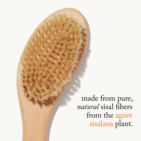 goop dry brush sisal bristles closeup showing natural fibers for effective exfoliation