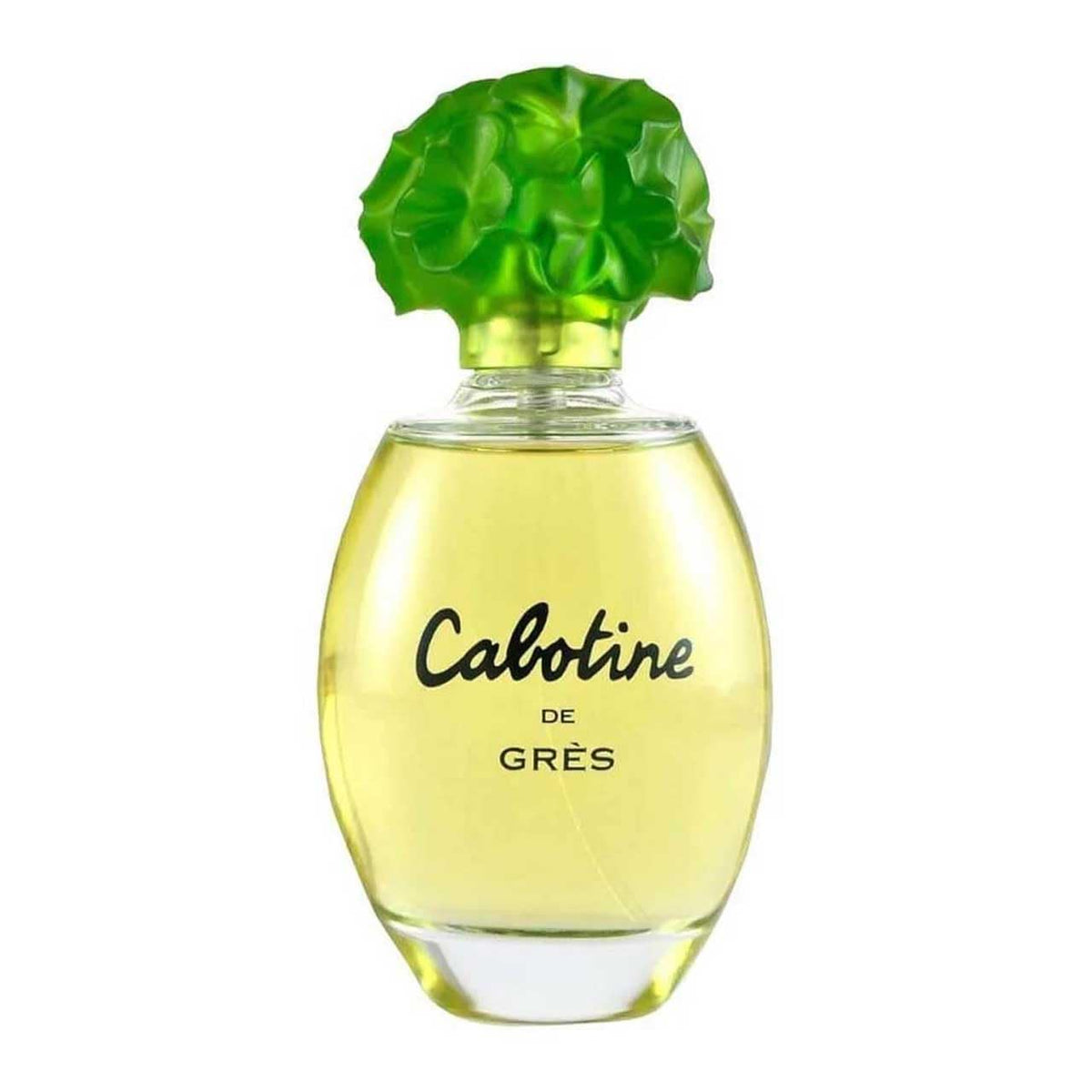 Gres Cabotine spray close-up demonstrating fine mist and easy application