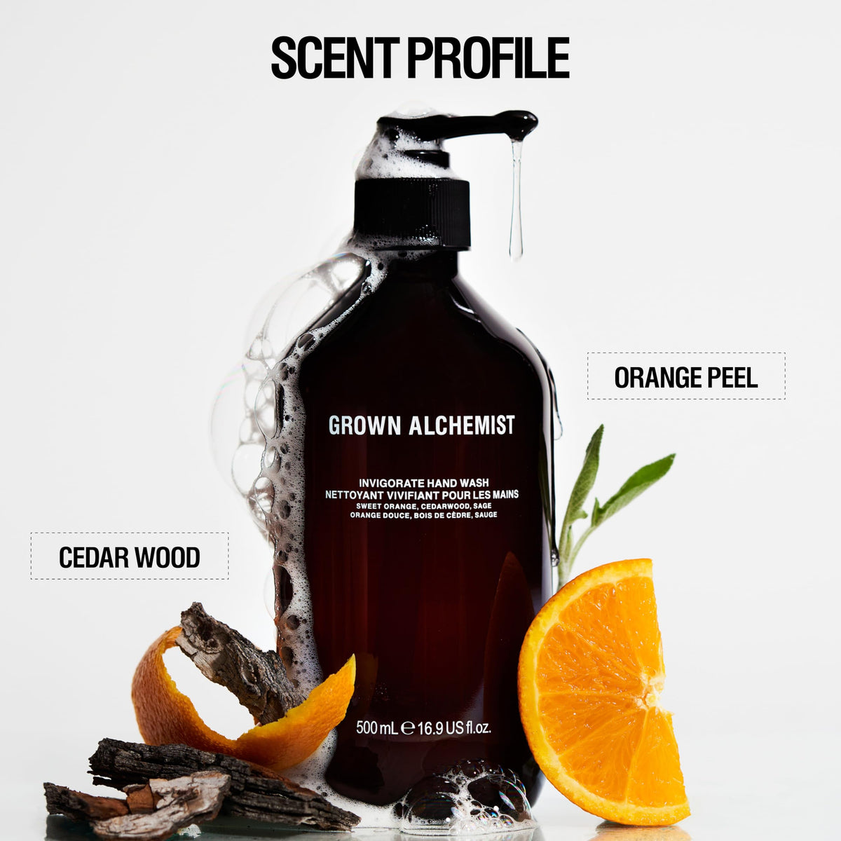 Grown Alchemist aloe leaf ingredient closeup conveying soothing moisture benefits