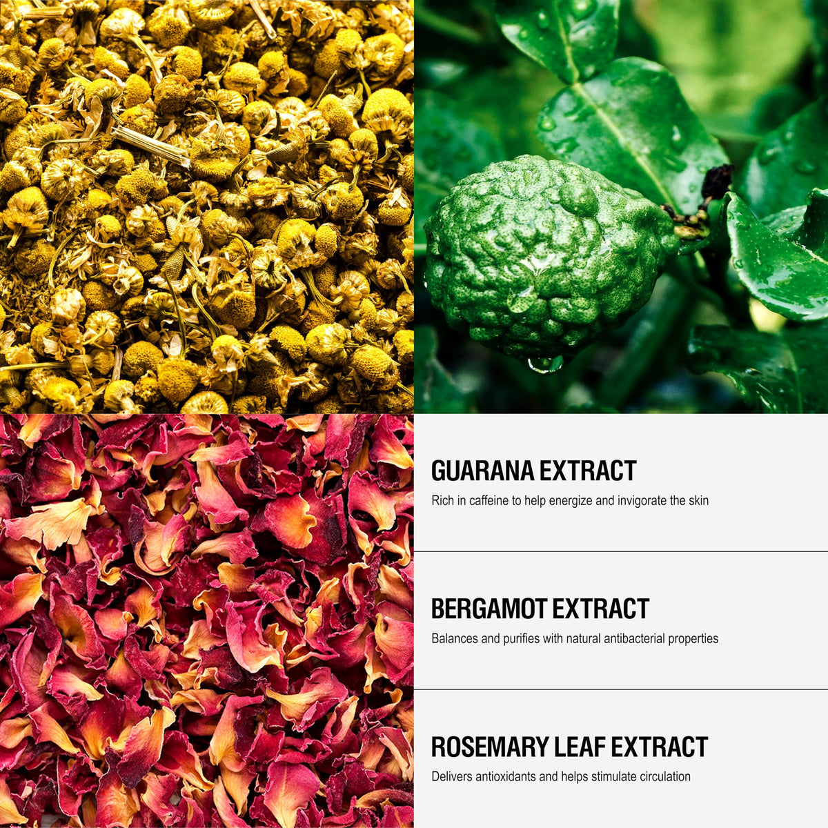 Grown Alchemist chamomile, bergamot and rosewood botanicals highlighting natural ingredient benefits