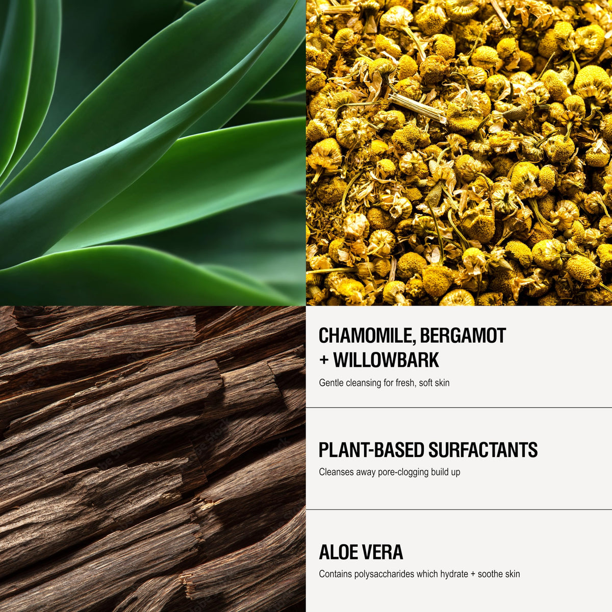 Grown Alchemist ingredient layout highlighting willow bark and aloe benefits