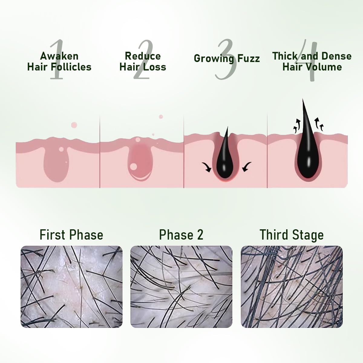 Gypsophila batana oil applied to scalp to improve moisture and manageability