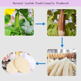 haikuluo sponge in use under running shower creating rich lather and efficient cleaning