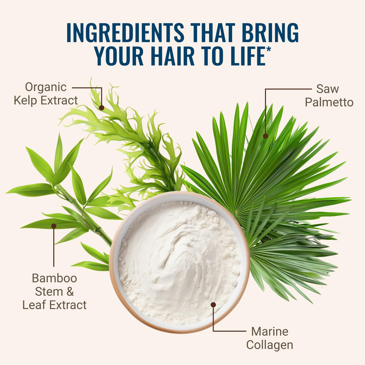 Hair La Vie capsules in hand to show size and daily serving scale