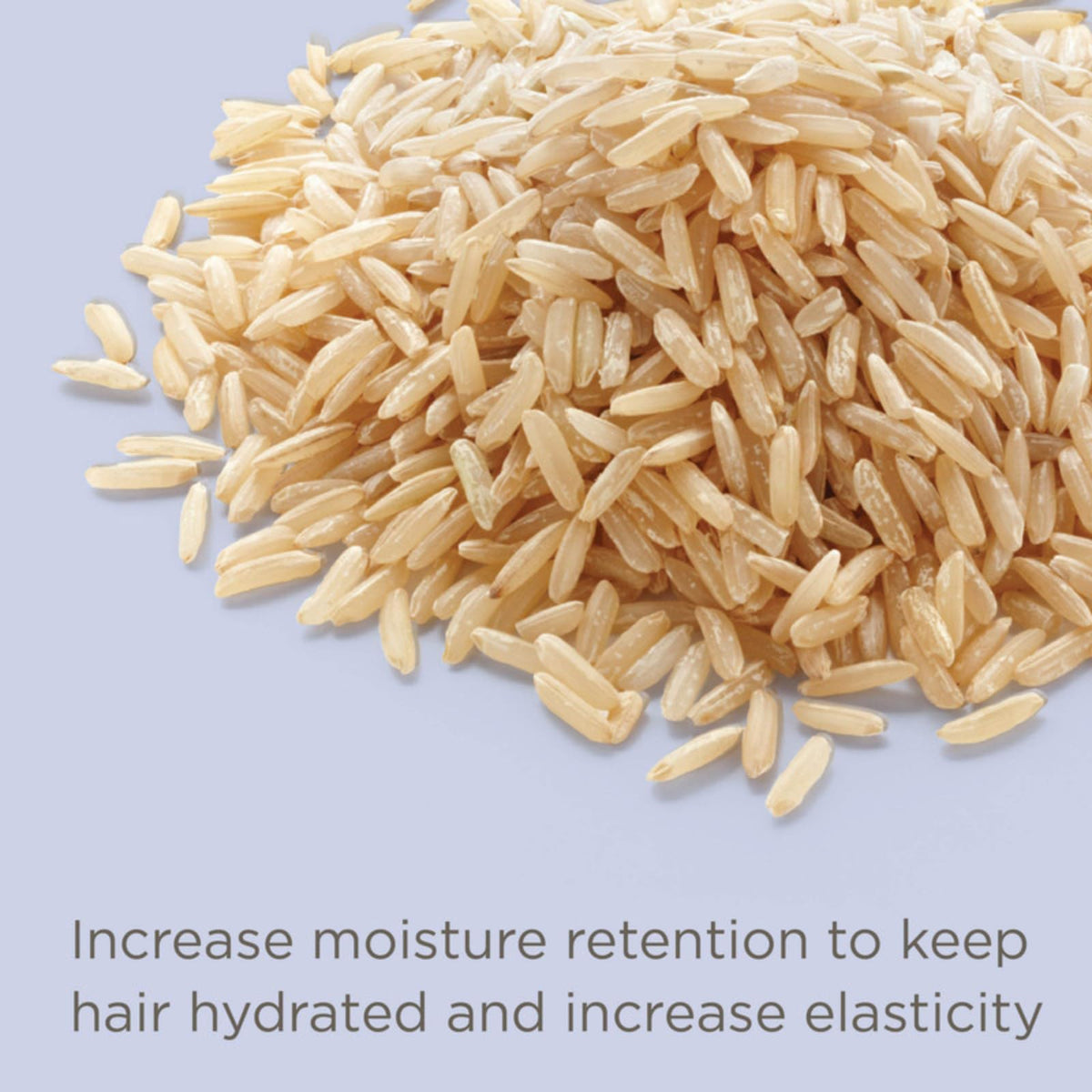 Hairitage rice protein ingredient close-up, supports strengthened hair structure