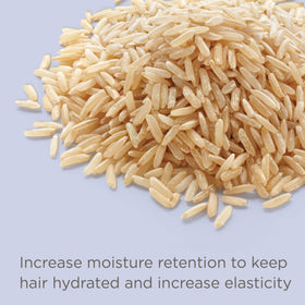 Hairitage rice protein ingredient close-up, supports strengthened hair structure