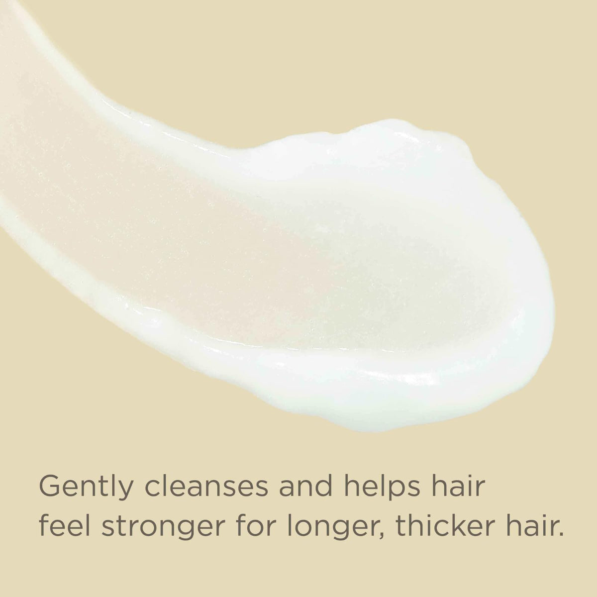 Hairitage length scale comparison showing fuller-looking hair after regular use