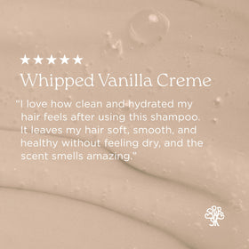 Hairitage bottle with matching conditioner for balanced routine benefit