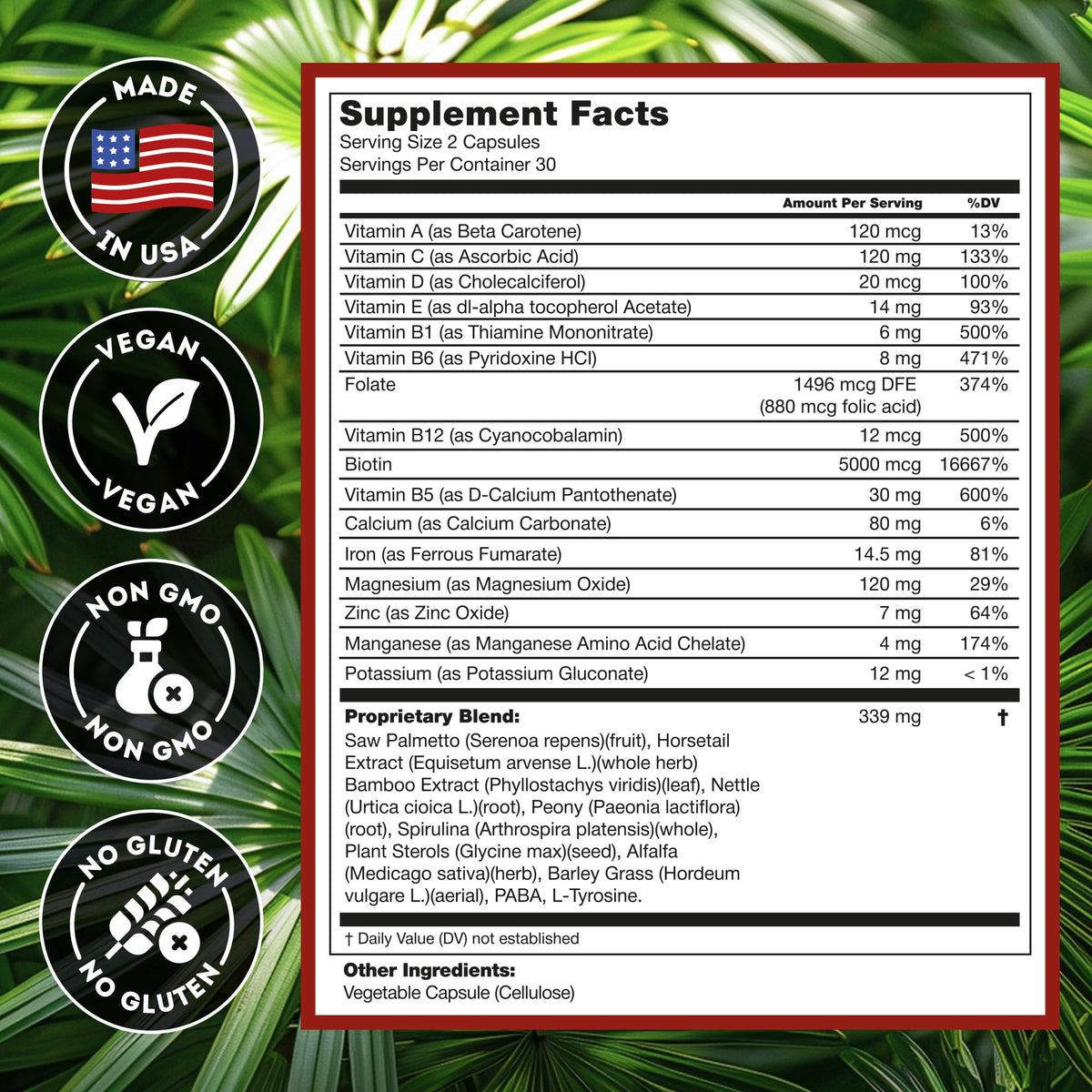 Hairo Nutrition arranged ingredients display botanical and vitamin sources