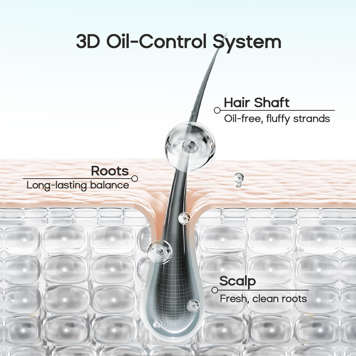 HALOVIDA root-lift before and after illustrating visible volume without stiffness