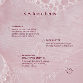 HANNI bottle beside toiletries indicating compact travel-friendly size