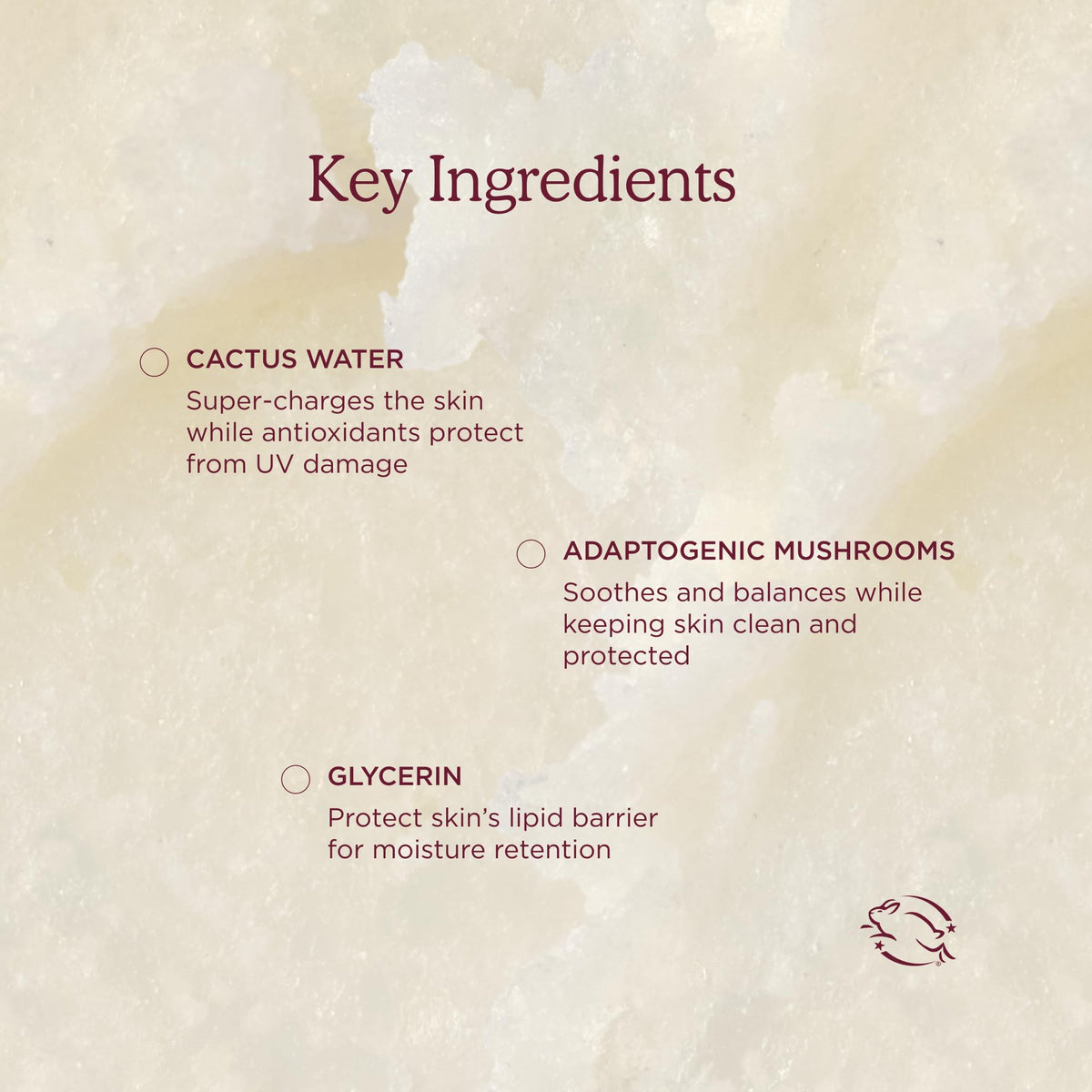 Cactus water ingredient visual with HANNI stick emphasizing hydration benefit