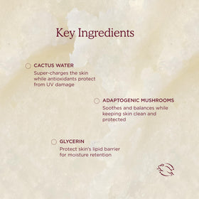 Cactus water ingredient visual with HANNI stick emphasizing hydration benefit