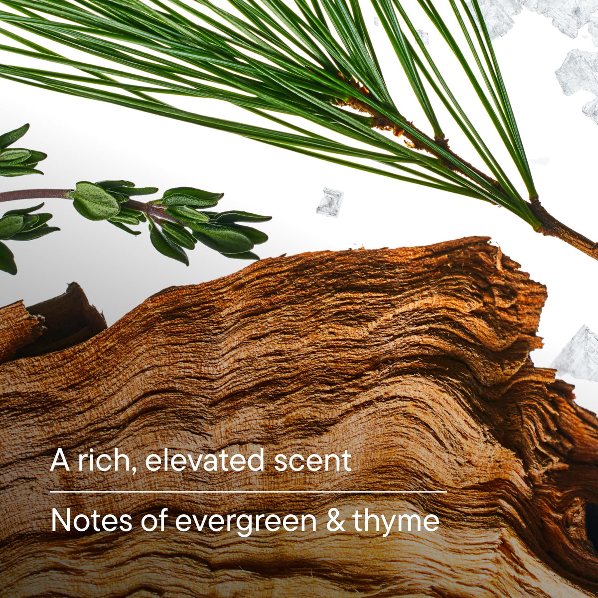 Harry's lifestyle shot with cedar and herbs showing fresh scent benefit