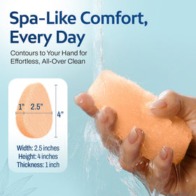 HartFelt close-up of sponge texture revealing gentle exfoliating surface
