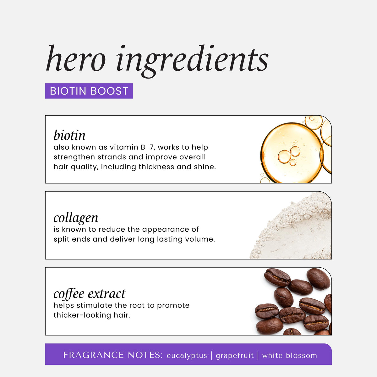 HASK close-up of coffee beans ingredient adding fullness